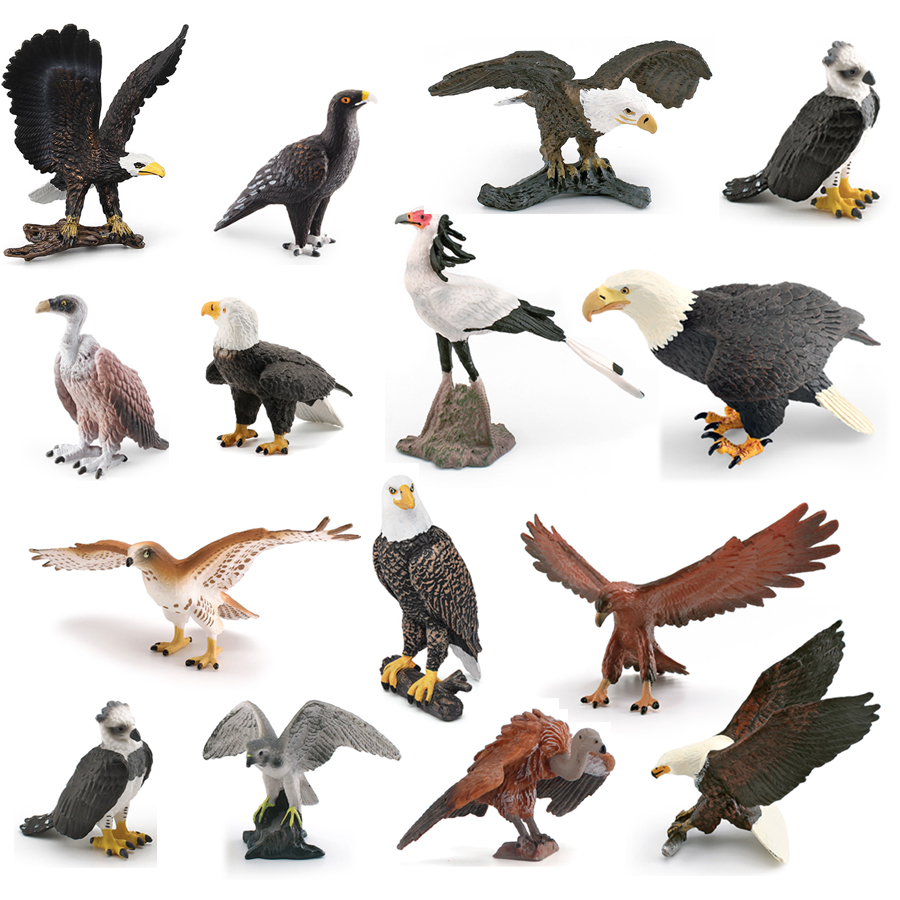 Realista animais selvagens pás - Kids Education Picture avaliação e preço