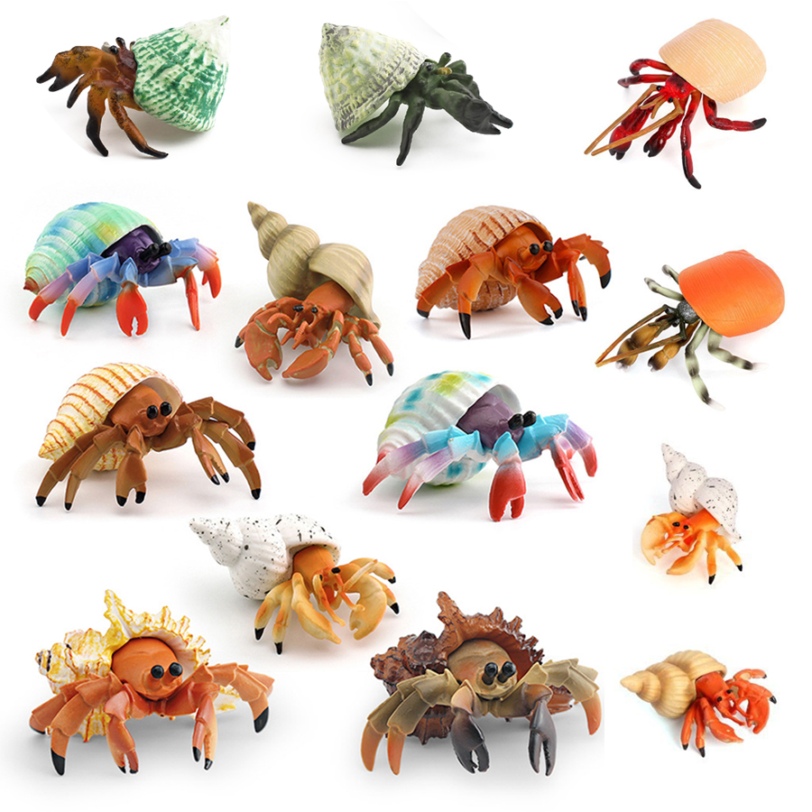 Figurinha Realista de Carangue - Kids Education Picture avaliação e preço